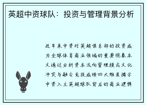 英超中资球队：投资与管理背景分析